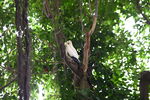 DSC_9038.JPG